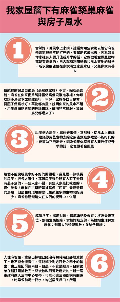 麻雀在家筑巢风水|麻雀築巢風水：提升家居運勢的秘密武器【麻雀築巢風水】 – 香港。